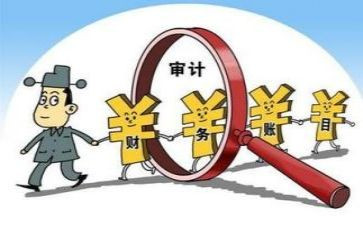 审计组工作总结最新7篇