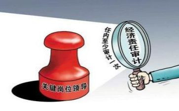 审计个人总结工作总结通用6篇