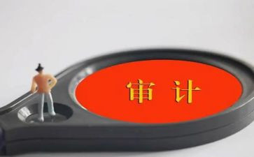 审计的工作总结报告最新6篇