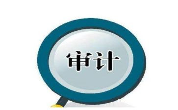 做审计的心得体会参考7篇
