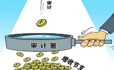 审计工作总结和工作计划8篇