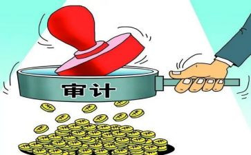 2024年度内部审计工作总结8篇