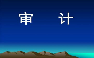 审计组工作总结7篇