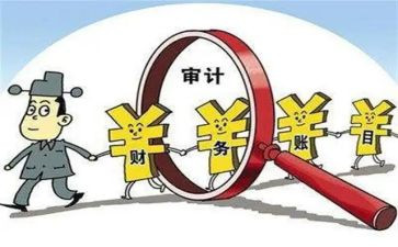 审计员年度总结报告5篇