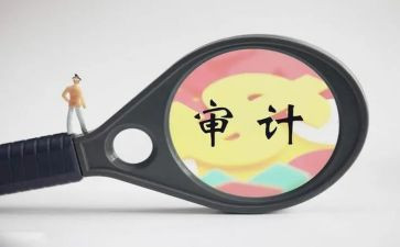 审计2024年个人总结报告6篇