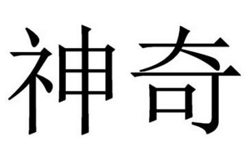 神奇的教案8篇