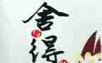 舍与得读后感1000字参考7篇