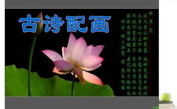 诗读后感400字通用5篇