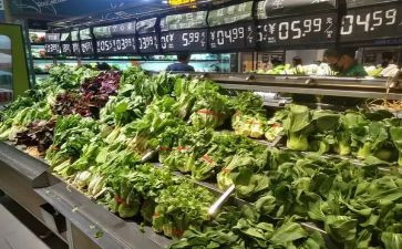 市场调查报告范文优秀7篇