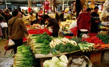 市场科总结报告8篇