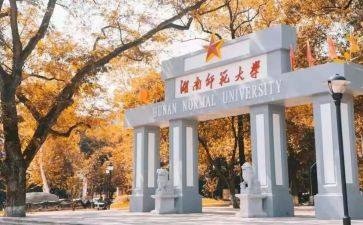 师范生月总结推荐5篇