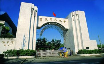 师范的实习调查报告最新7篇