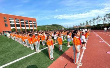 2023年实践活动心得体会推荐6篇