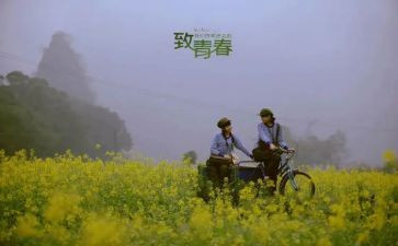 嘿,十七岁读后感8篇