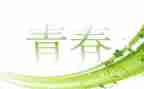 十七岁的猫读后感5篇