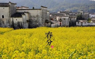 十四运作文500字7篇