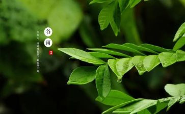 十四运作文6篇