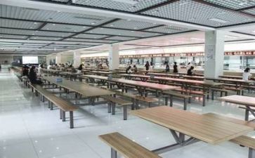 2023食堂工作总结报告6篇