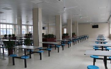 食堂的调查报告模板8篇