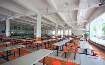 2024食堂年终个人总结范文6篇