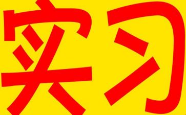 实习的心得体会最新8篇