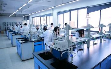 实验室工作报告5篇