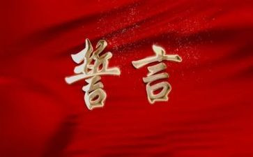 一生誓言的心得体会5篇