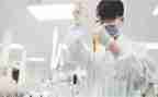 学校实验年度工作计划7篇
