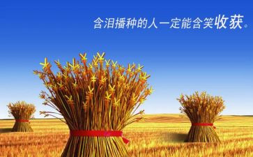 学习收获或心得体会5篇