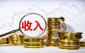 农民收入的调查报告5篇