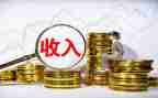 农民收入的调查报告5篇