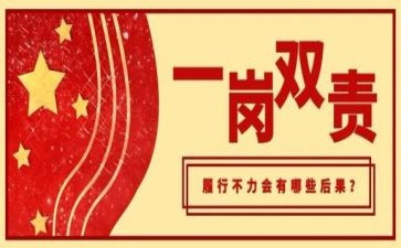 一岗双责工作报告6篇