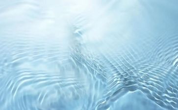 水果主题活动方案5篇