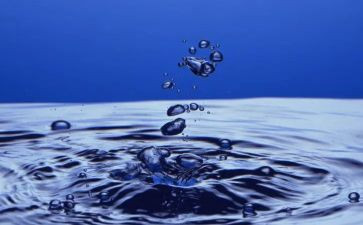 语言《水》教案模板7篇