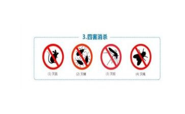 除四害工作计划优秀5篇