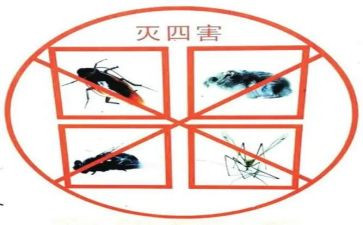 除四害的工作计划优质8篇