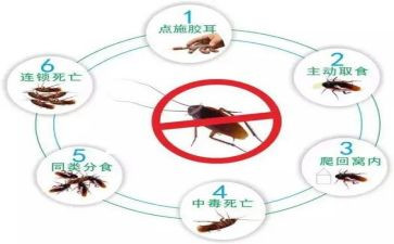 除四害半年度工作总结7篇