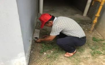.除四害工作计划8篇