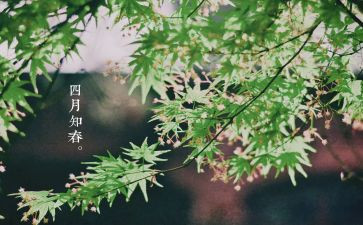 学生会四月工作总结7篇