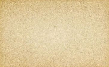 初中作文素材作文精选6篇