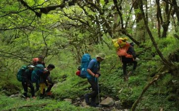 与探险之旅的作文模板5篇