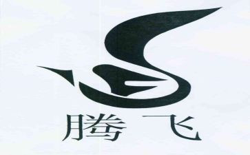 梦想腾飞演讲稿5篇
