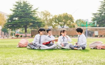 2024小学体卫艺工作计划7篇