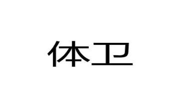 体卫艺学期工作总结7篇