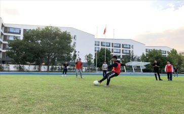 学校体卫工作计划5篇
