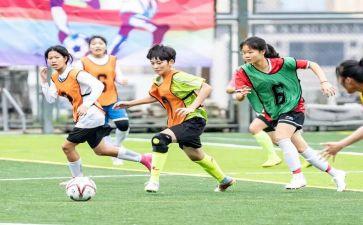 中小学体卫艺工作计划5篇