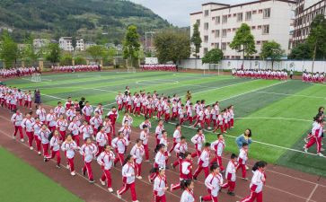 体育活动队活动方案策划7篇