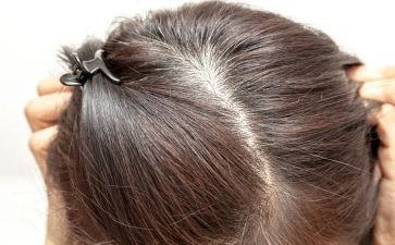 幼儿园洗头发教案5篇