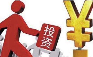 分险投资的总结报告8篇