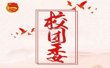 初中团委工作总结6篇
